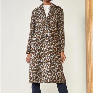 Ragdoll La leopard coat